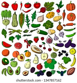 Set of vegetables, fruits and berries. Vector cartoon illustration. Isolated objects on a white background. Hand-drawn style.