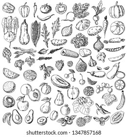 Set of vegetables, fruits and berries. Vector cartoon illustration. Isolated objects on a white background. Hand-drawn style.