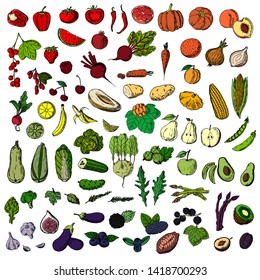 Set of vegetables, fruits and berries. Vector cartoon illustration. Isolated objects on a white background. Hand-drawn style.