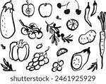set of vegetables and fruits. freehand drawing. vector illustrations.