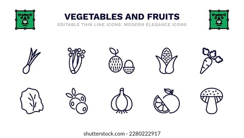 set of vegetables and fruits thin line icons. vegetables and fruits outline icons such as celery, lychee, corn, carrot, lettuce, lettuce, blueberry, garlic, grapefruit, mushroom vector.