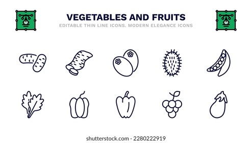 set of vegetables and fruits thin line icons. vegetables and fruits outline icons such as sweet potato, breast milk fruit, rambutan, peas, arugula, arugula, bell pepper, paprika, grape, aubergine