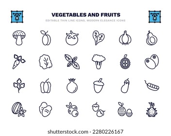 conjunto de verduras y frutas iconos de línea delgada. íconos del contorno de verduras y frutas tales como hongos, tomate, ajo, lechuga, durión, pimiento pimienta, berenjena, tubérculo, avellanas, vectores de fruta de dragón.