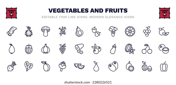 set of vegetables and fruits thin line icons. vegetables and fruits outline icons such as sweet potato, mushroom, hazelnut, tangerine, garlic, blueberries, beetroot, artichoke, breast milk fruit,