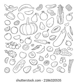 Set vegetables and fruits. Vector black hand drawn vintage illustration. Isolated on the white background.