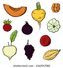 Set of vegetables and fruits. Vector cartoon illustrations. Isolated objects on a white background. Hand-drawn style. Vegetarian food.