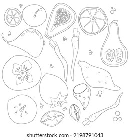 Set von Gemüse und Obst Vektorgrafik im skandinavischen Stil. Lineare Grafik. Gemüse und Obst Hintergrund. Gesundes Essen einzeln auf weißem Hintergrund.