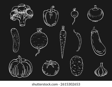Set of vegetables. Hand drawn garden vegetable collection.