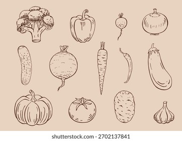 Conjunto de legumes. Coleção de legumes de jardim desenhada à mão.