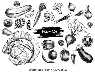 Set of vegetables. Hand drawn. Vintage style