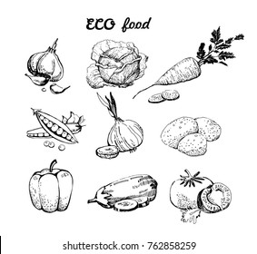 Set of vegetables hand drawn. Vintage style