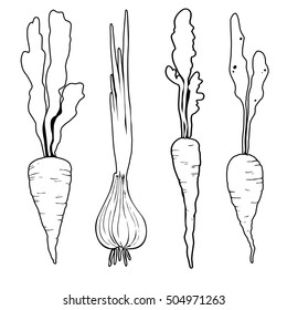 Set of vegetables. Hand drown. Radish, carrot, beet, onion. black and white.