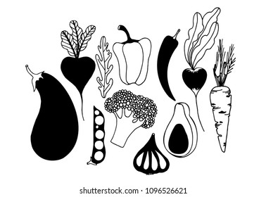 set of vegetables 
Vegetables hand-drawn graphics
 