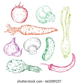 Set of vegetables handdrawn illustrations, in sketch, engraving style. Detailed isolated elements on white background, perfect for menu, book design. 