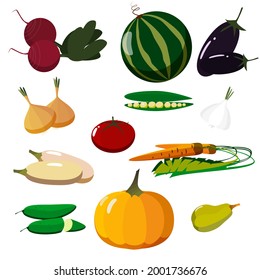 Set vegetables, harvest, autumn. Pumpkin, peas, beetroot, eggplant, onion, garlic, zucchini, carrot, tomato, cucumber. Vector graphics