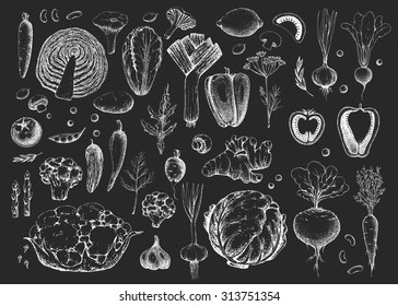 Set vegetables and herbs. Healthy vegetarian food. Vintage black and white illustration in the style of engravings. Harvest. Hand drawn  vector background. Chalkboard.