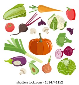 Set of vegetables icons with tomato, pumpkin, salad,cabbage, cauliflower, carrot, broccoli, beet, onion, paprika, eggplant. Healthy organic vegetarian and vegan food, raw meal. Vector illustration. 