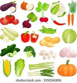 Set of vegetables illustration for project.
