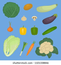 Set of vegetables, isolated on a blue background. There is a potato, zucchini, eggplant, cabbage, cucumber, onion, chinese cabbage, mushroom, carrot, sweet pepper in the picture. Vector illustration.
