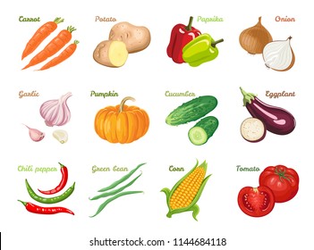 Set of vegetables isolated on white background. Carrot, paprika, potato, onion, tomato, chili pepper, garlic, cucumber, pumpkin, eggplant, green bean, corn. Vector colorful icons in flat style.
