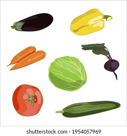 A set of vegetables isolated on a white background. vector