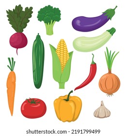 Set of vegetables isolated on white background in flat style. Healthy food, products containing vitamins.