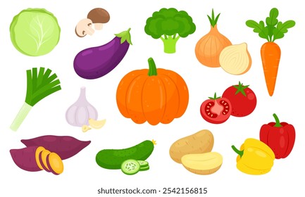 Conjunto de vegetais isolados sobre fundo branco. Ícone de abóbora, cebola, repolho, batata, pimenta, inhame, pepino, berinjela, alho-francês, cenoura, brócolis, alho e tomate. Ilustração vetorial em estilo plano.