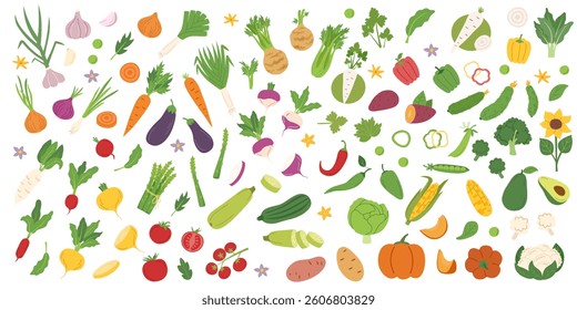 Set of vegetables isolated on white background. Gardening, food, healthy eating and harvest concept cliparts. Vector flat hand drawn banner.