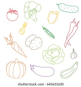 A set of the vegetables isolated on a white background. The vector picture painted by a brush.Contour of a tomato, cucumber, pepper, tsukkin, eggplant, potatoes, cabbage, onions, garlic