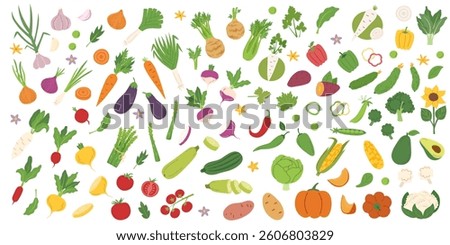 Set of vegetables isolated on white background. Gardening, food, healthy eating and harvest concept cliparts. Vector flat hand drawn banner.