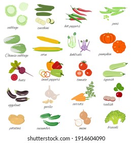 Set of vegetables. Isolated vector image on white background.