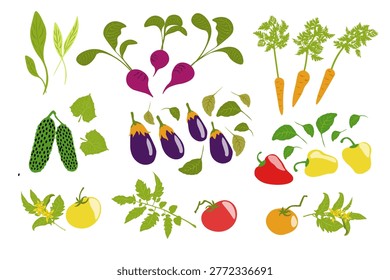 Set of vegetables and leafy green, beets, bell peppers, lettuce, carrots, cucumbers, tomatoes. Organic farm produce from a local farmers' market