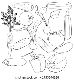 Set of vegetables, leaves, linear black and white pattern.