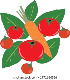 Set of vegetables with leaves vector illustration