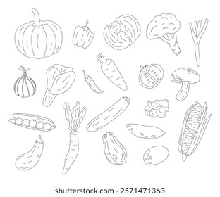Set of Vegetables line art hand drawn illustration