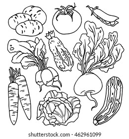 Set of vegetables, line drawings.