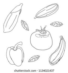 Set of vegetables line rt. Hand drawn. Tomatoe, cucamber, pepper, chilli, eggplant, cukini. Vector illustration.