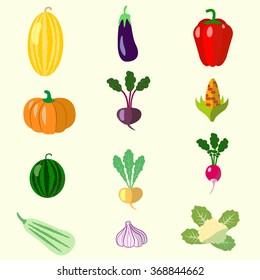 set of vegetables, melon, squash, beets, peppers,