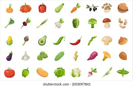 Set of vegetables, mushrooms and nuts. Fresh and tasty organic food. Vegetarian and diet meal. Broccoli and carrot, pepper and radish. Isolated vector illustration in cartoon style