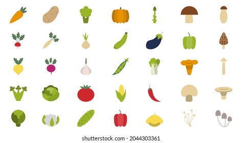 Set of vegetables, mushrooms and nuts. Fresh and tasty organic food. Vegetarian and diet meal. Broccoli and carrot, pepper and radish. Isolated vector illustration in cartoon style