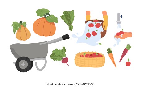 A set of vegetables on the theme of the garden and vegetable garden. Pumpkin, apples, kale, carrots, beets, cart. Garden concept. Harvest from the garden.