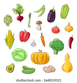 set of vegetables on white background. stylized vector illustration