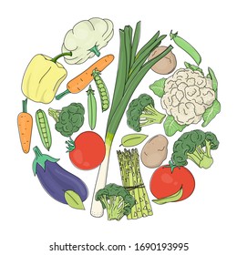 Set with vegetables on a white background. Cauliflower, carrots, broccoli, tomatoes are arranged in a circle. Colorful vector illustration in sketch style. Hand-drawn.