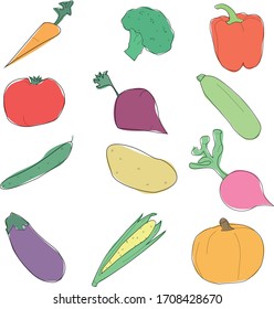 Set of vegetables on white background