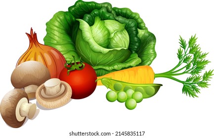 Set of vegetables on white background illustration