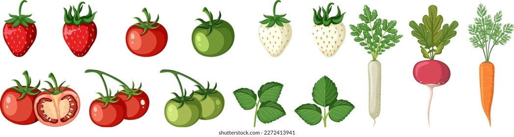 Set of vegetables on white background illustration