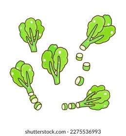 Set vegetables on White Background.