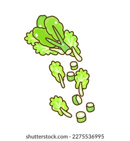 Set vegetables on White Background.