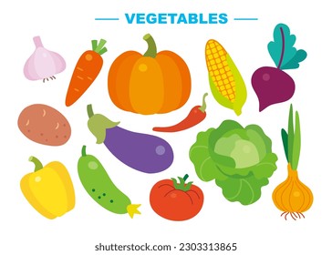 Conjunto de verduras sobre fondo blanco: ajo, zanahoria, calabaza, remolacha, cebolla, papa, tomate, pepino, berenjena, pimienta, chile, col, maíz. Ilustración aislada de vectores