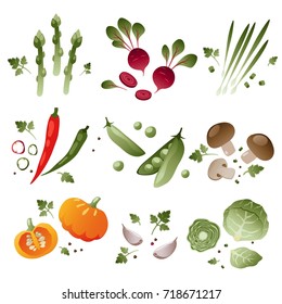 Set of vegetables on white background. eps 10